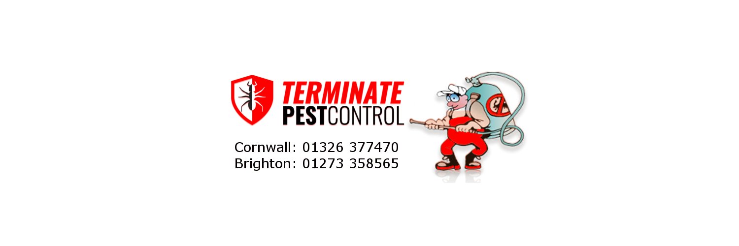 TerminatePests's profile banner image