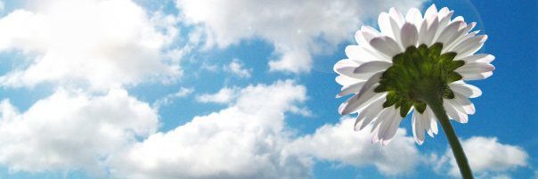 Хочу мира banner