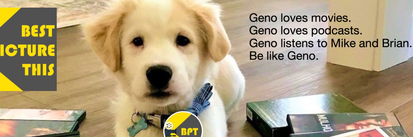 Best Picture This banner