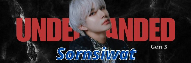 sornwt | work banner