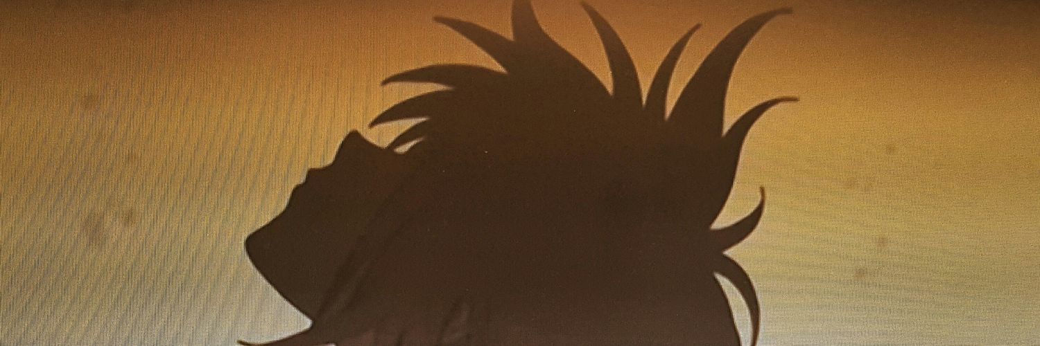 Vashtastic's profile banner image