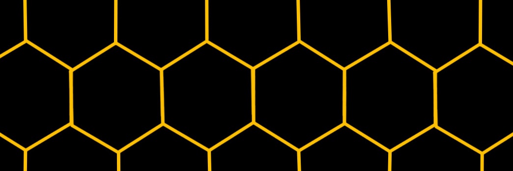 barry the bee's banner
