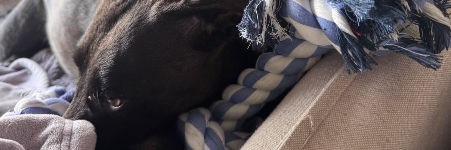 Hank Moody banner