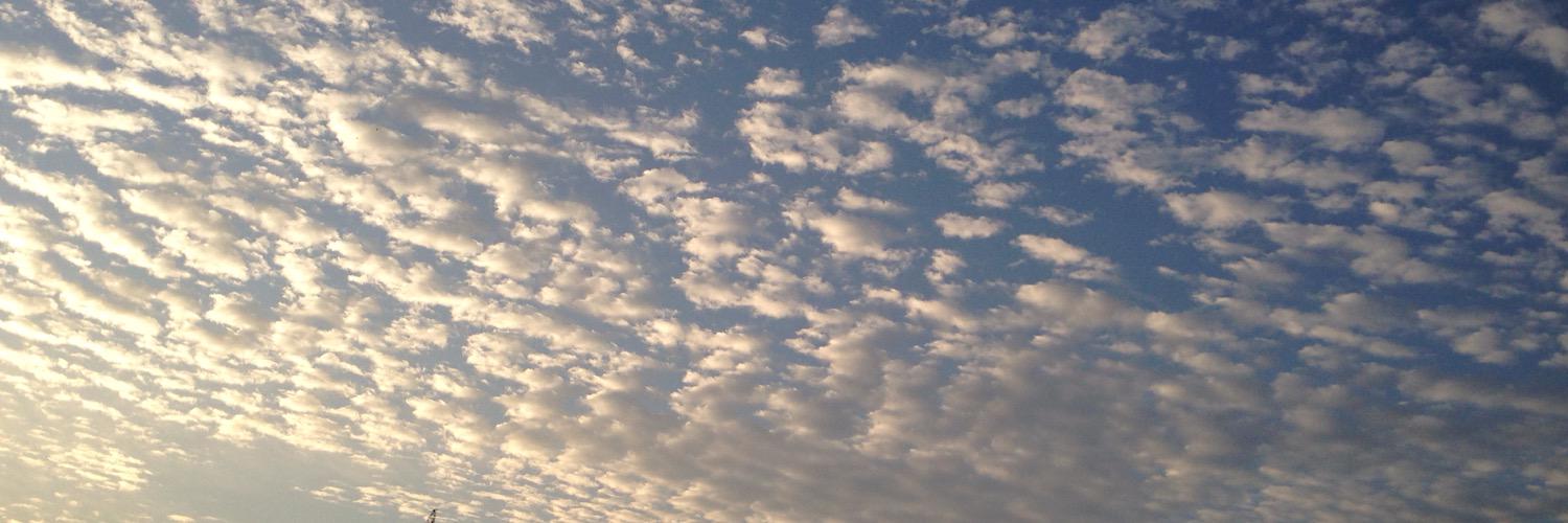 YONYON_1155's profile banner image