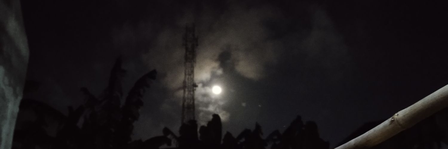 HalawaniW's profile banner image