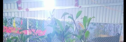 phuongthi banner