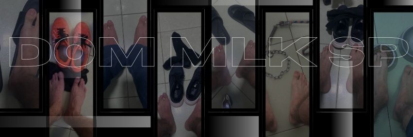 Mlk_Domsp banner