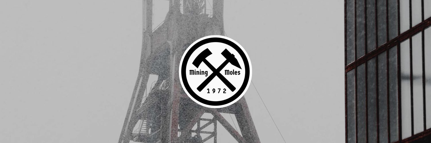 miningmoleseth's profile banner image