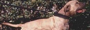 RelaxItWillBeOkay banner