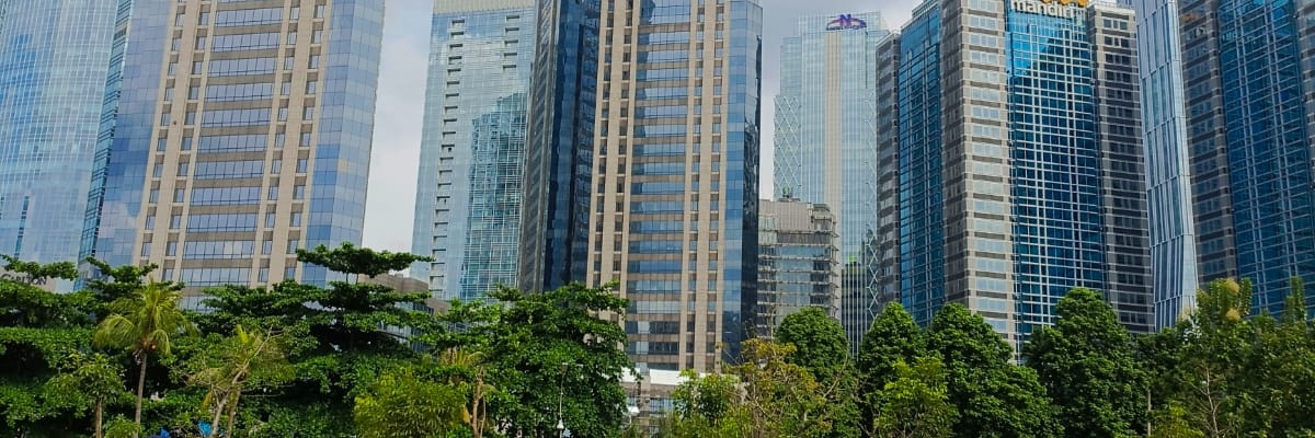 DiagaPaiker's profile banner image
