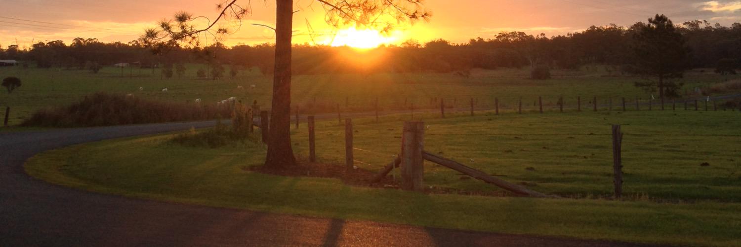 soph_grant's profile banner image