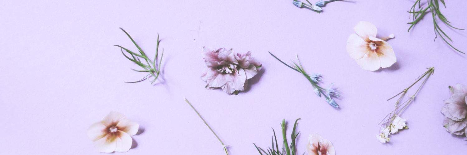 薫@取引垢 banner