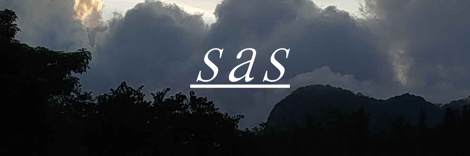 Sas banner