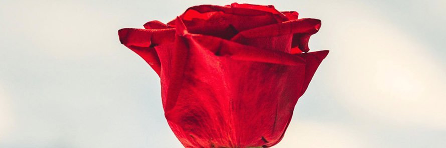 1999121aki's profile banner image