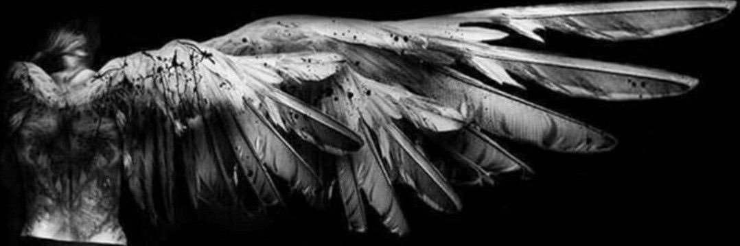 Рия banner