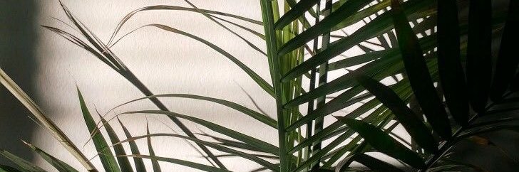 Dumbwayluks's profile banner image