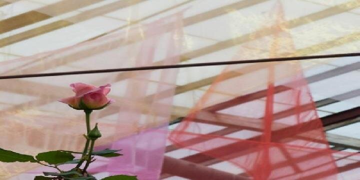 anghammoon1's profile banner image