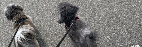 LWard Profile Banner