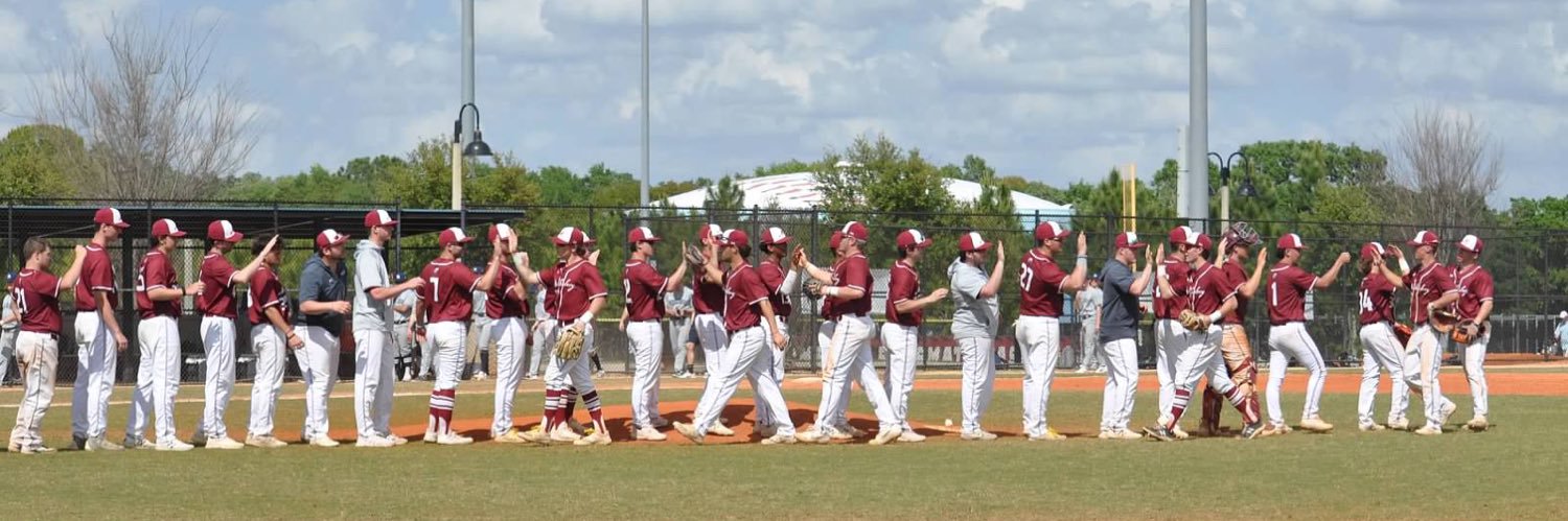 Muhlenberg Baseball banner