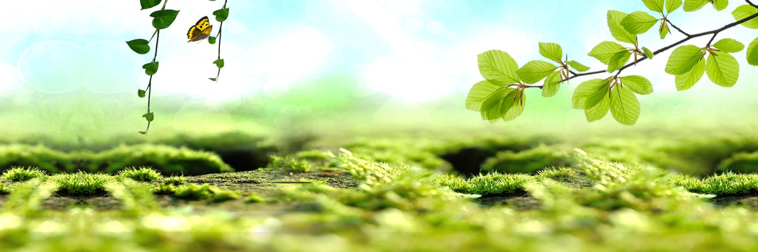 621797.bnb| ETHGas ⛽ banner