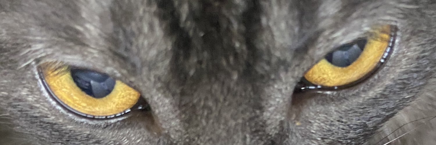 milaaa2707's profile banner image