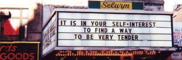 Avantika Mehta banner