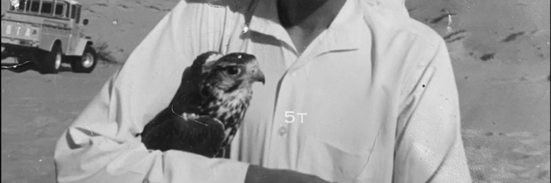 Almarr's profile banner image