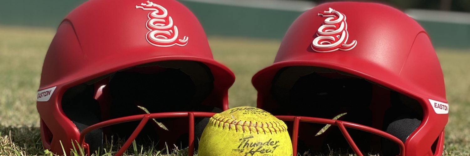 Sharyland Softball banner