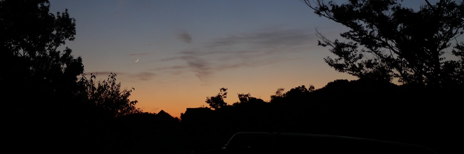 a_qui_la's profile banner image