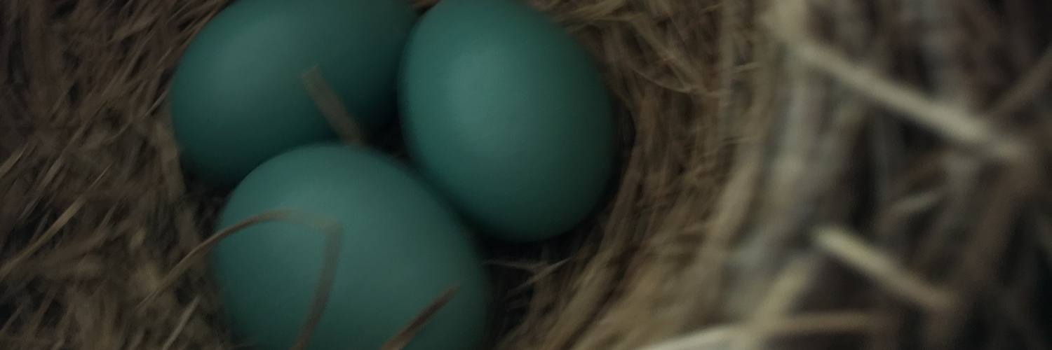 Somewhere o'clock banner