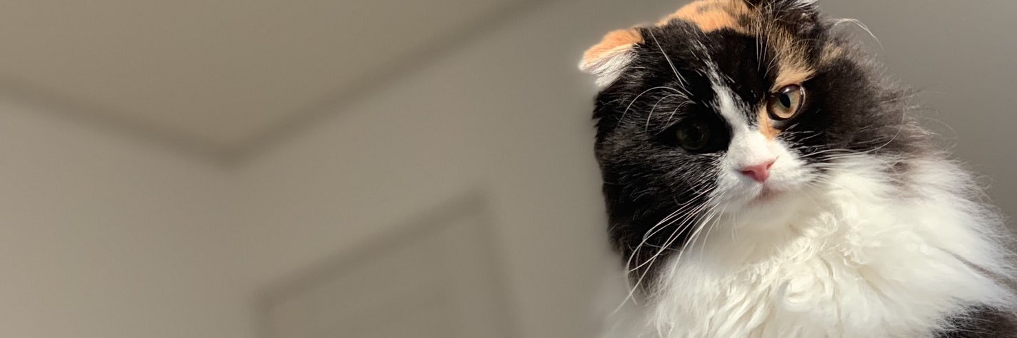 りょう banner