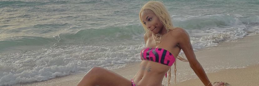 PrettyPinky555's profile banner image