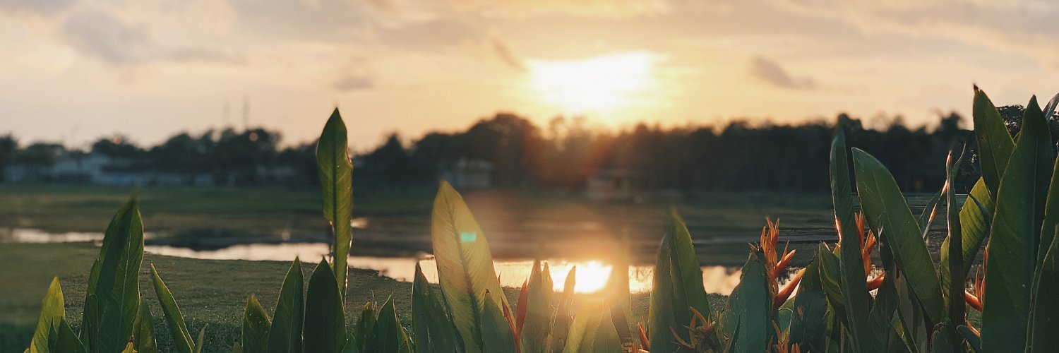 HeroRideTheBus banner