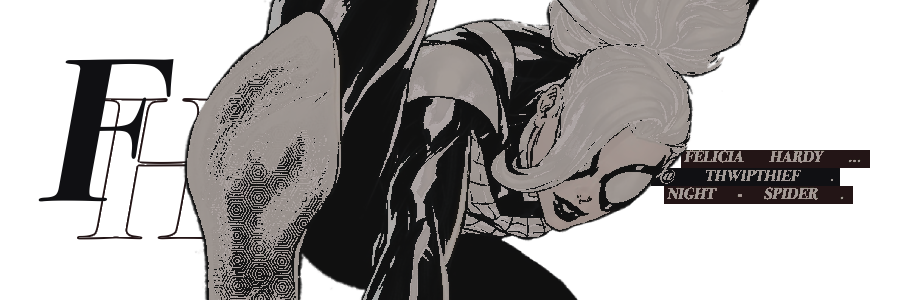 WEB—SLINGING T͢HIEF. banner