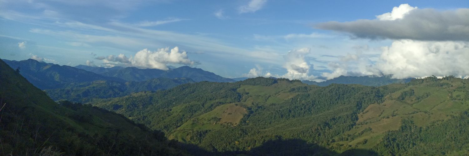 Paola Ramírez banner