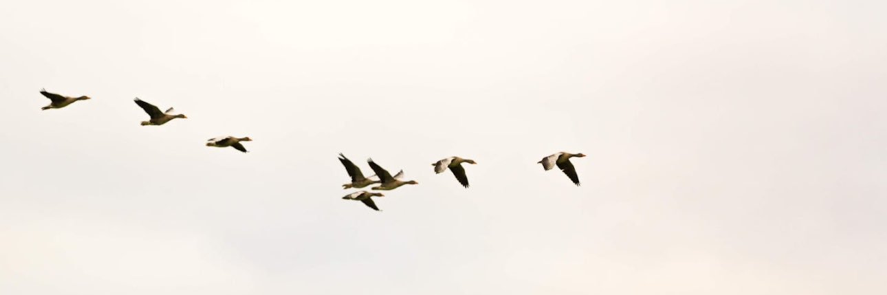 روان الوابل's banner