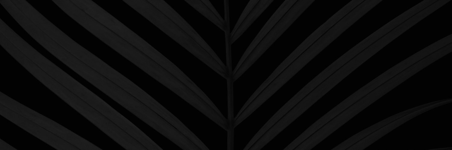 tokky banner