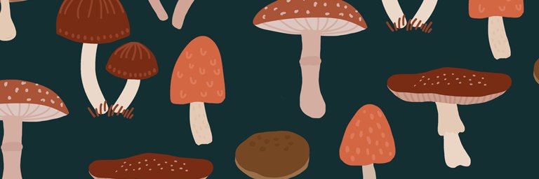 Deegee banner
