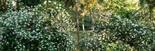 mtsando Profile Banner