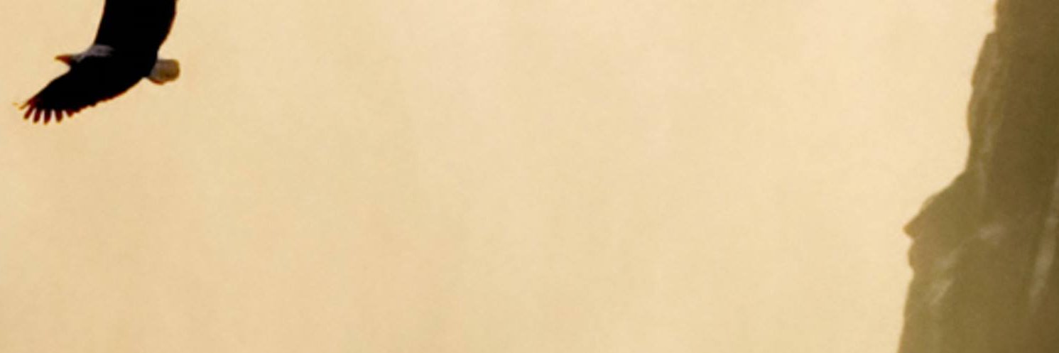 spntn's profile banner image