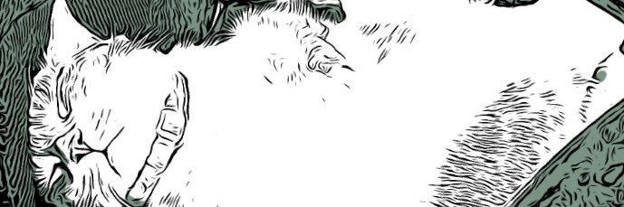 CatNameSnowNFTs's profile banner image