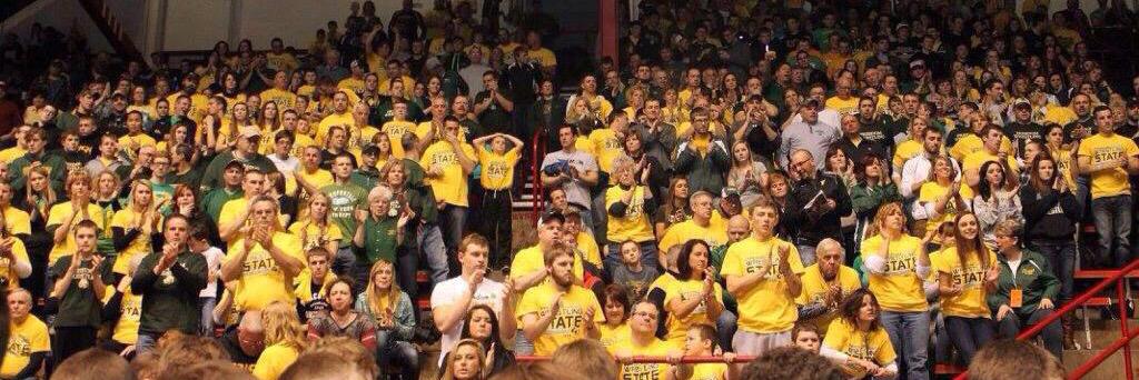 Freedom Irish banner