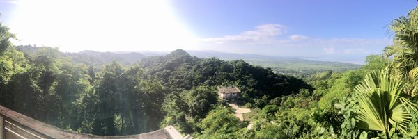 SandraT4343 Profile Banner