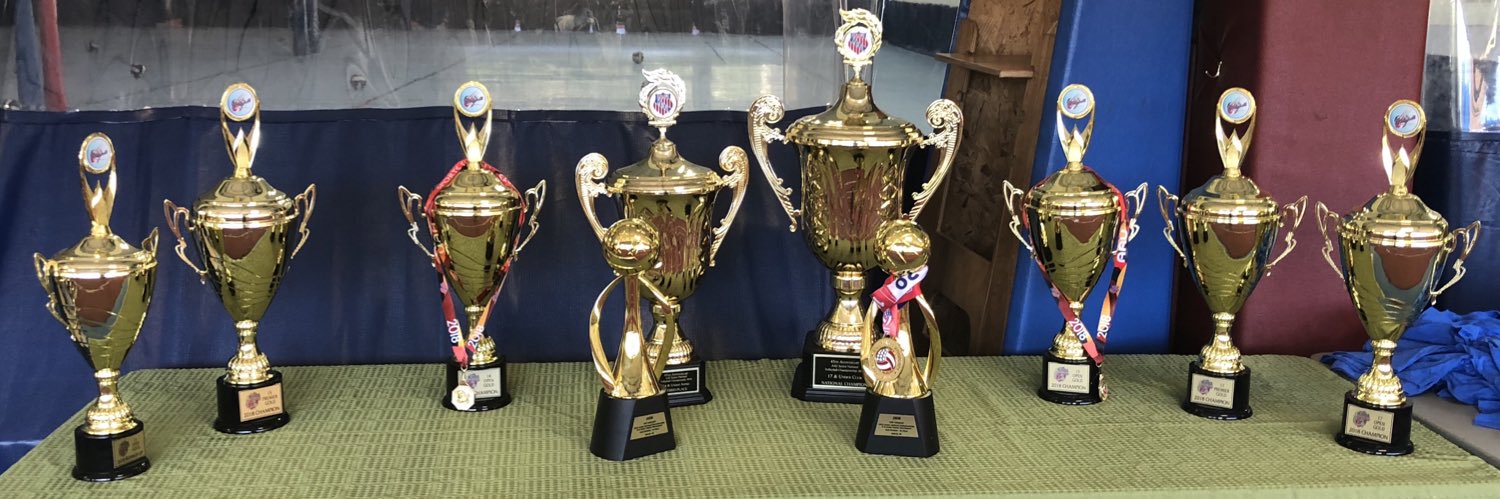 Team Detroit VBC banner