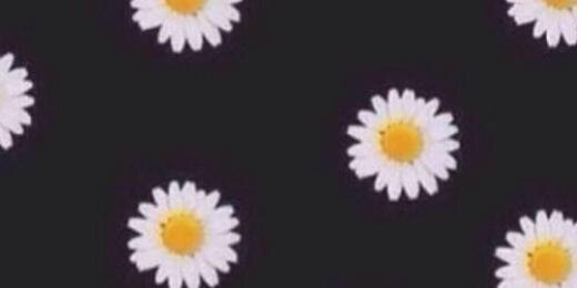 larabretas's profile banner image