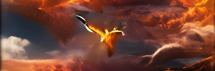 phoenix banner