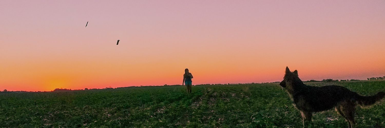 Antobazzoni_'s profile banner image