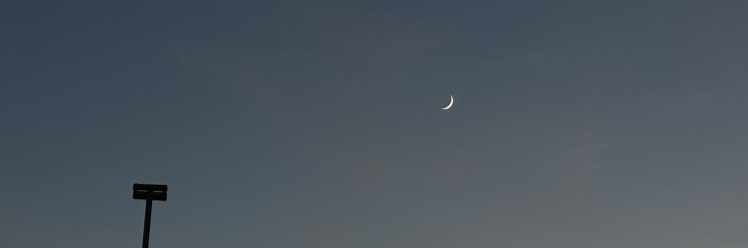 Isabela Amor•Closed🪷 banner