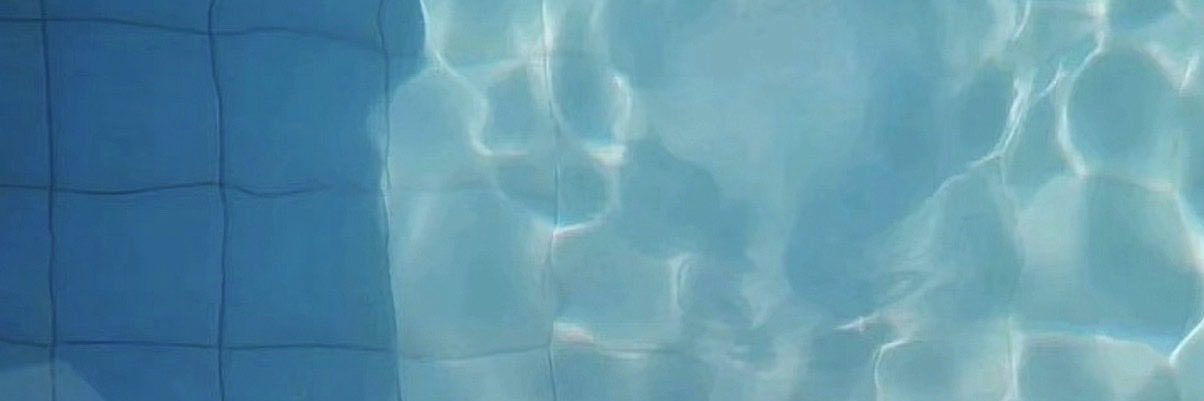 dragonelpepe's profile banner image