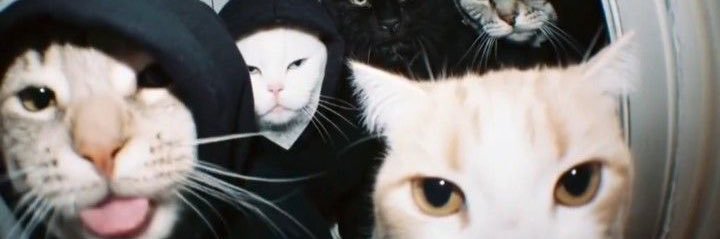 RaptureBoii banner